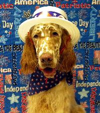 Scout July 10.jpg